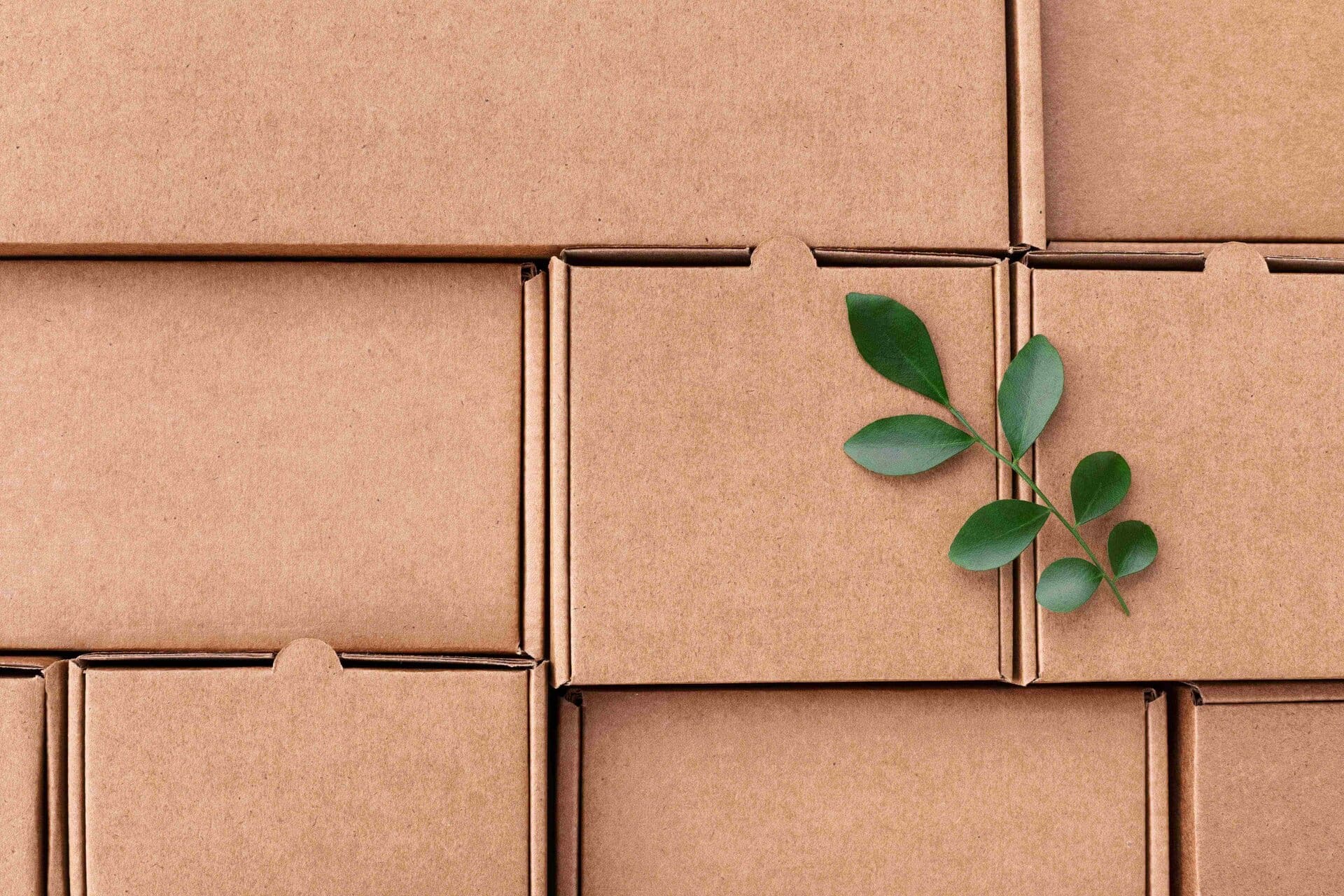 5 Tips to Recycle your Cardboard Boxes in the UAE