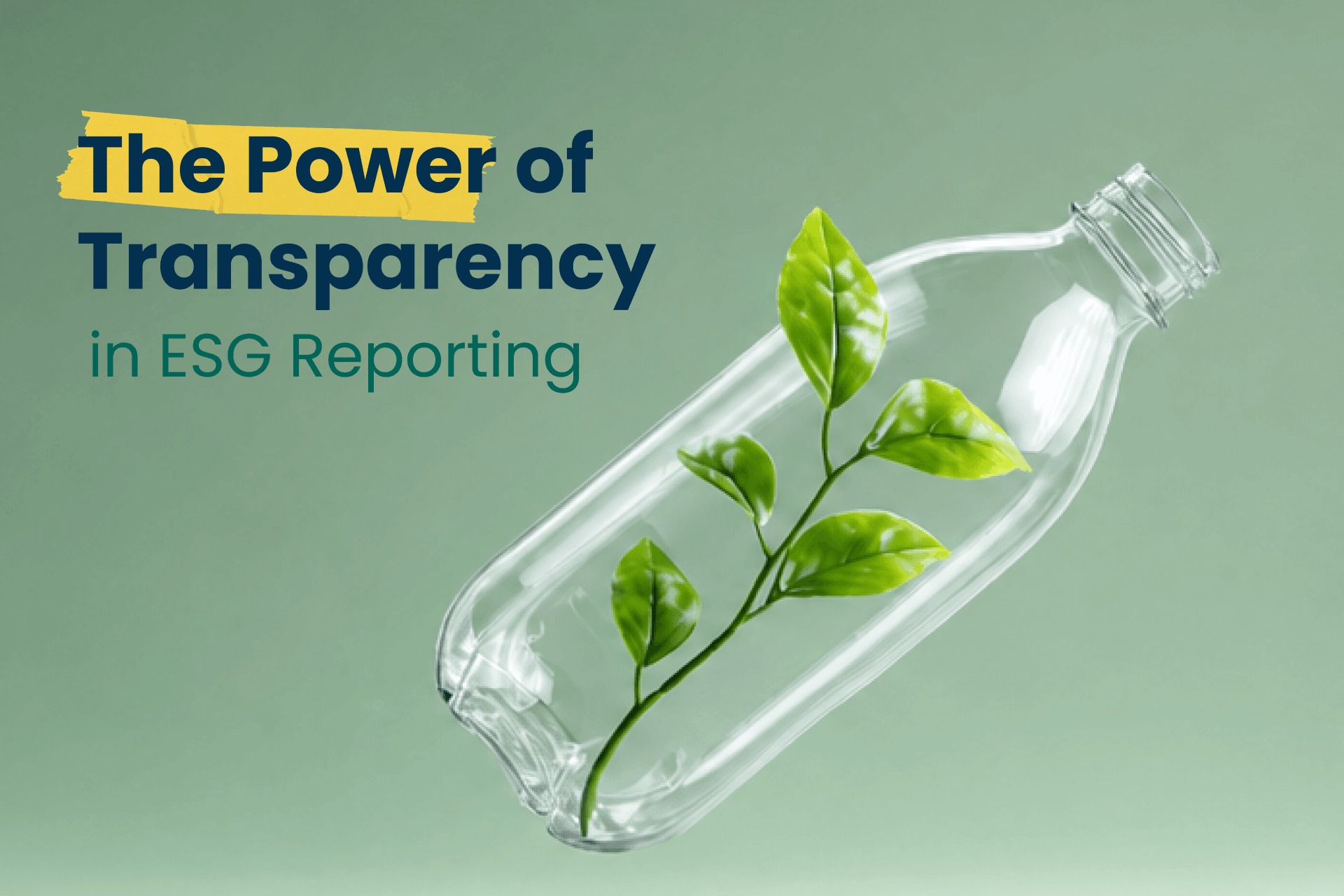 The Power of Transparency in ESG Reporting